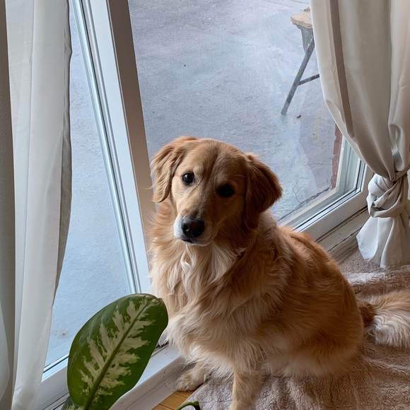 Meet your Posher, Rency - Picture 1 of 1